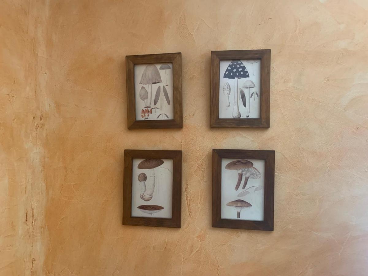 Casa Del Plantel Apartman San Ildefonso Kültér fotó
